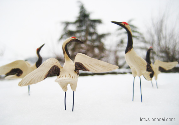 red-crane-birds-figurine-bonsai-3
