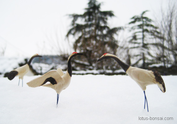 red-crane-birds-figurine-bonsai-4